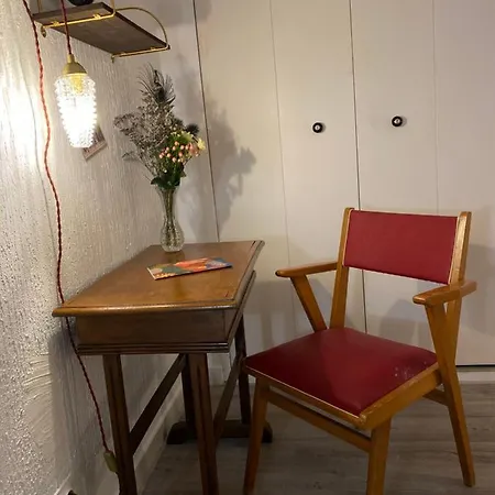 Daire Les Cosy De - Le Duplex Vintage 4* Nancy