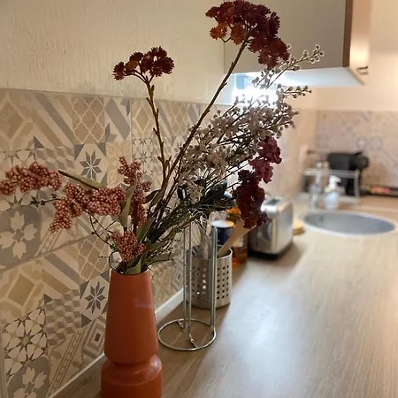 Апартаменты Les Cosy De - Le Duplex Vintage 4* Нанси