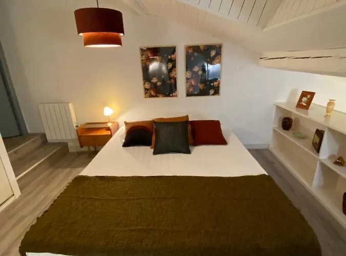 Les Cosy De - Le Duplex Vintage 4* Appartamento Nancy