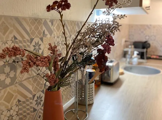 Appartamento Les Cosy De - Le Duplex Vintage 4* Nancy